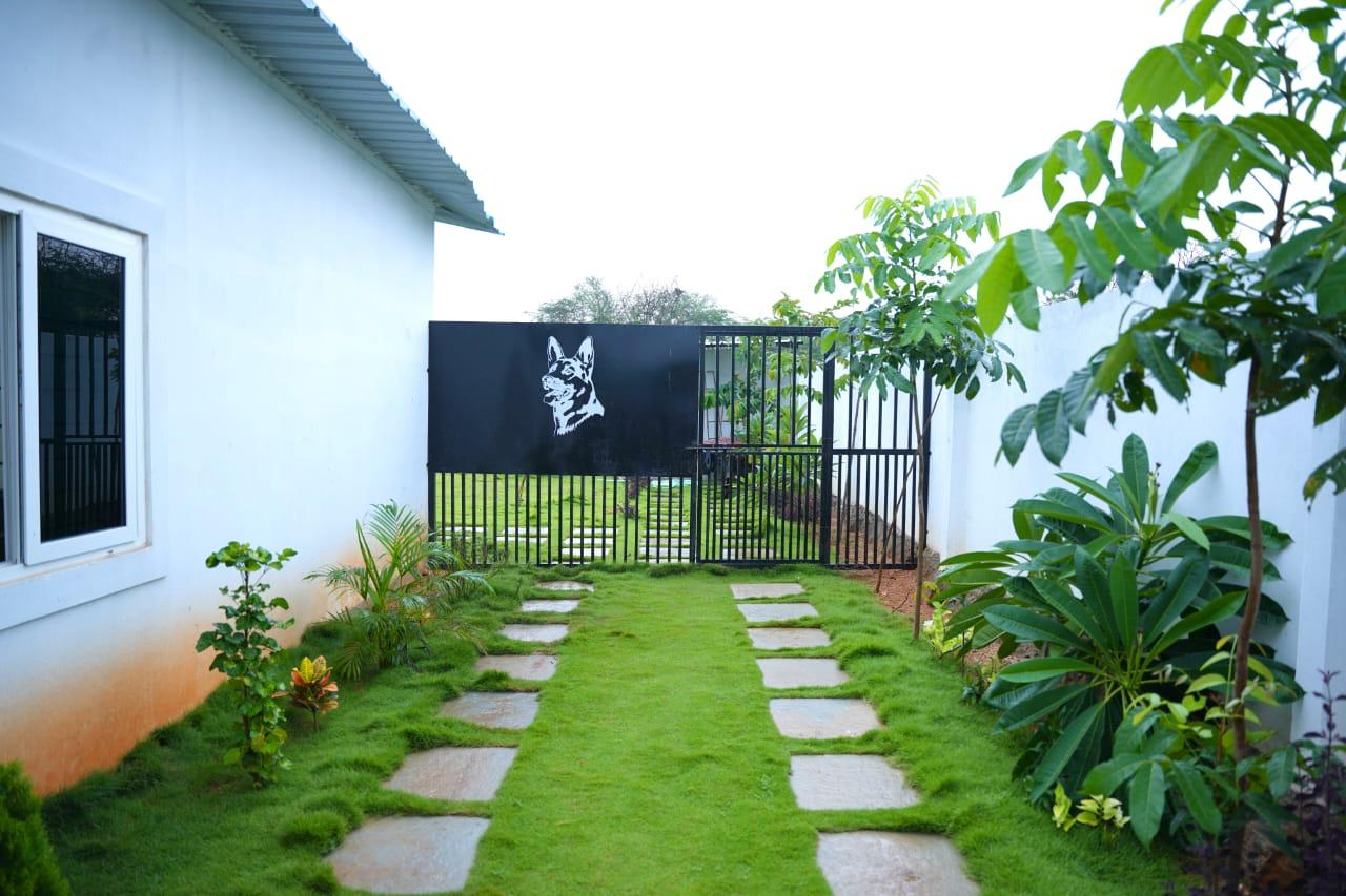 Inside Four Paws Kennel